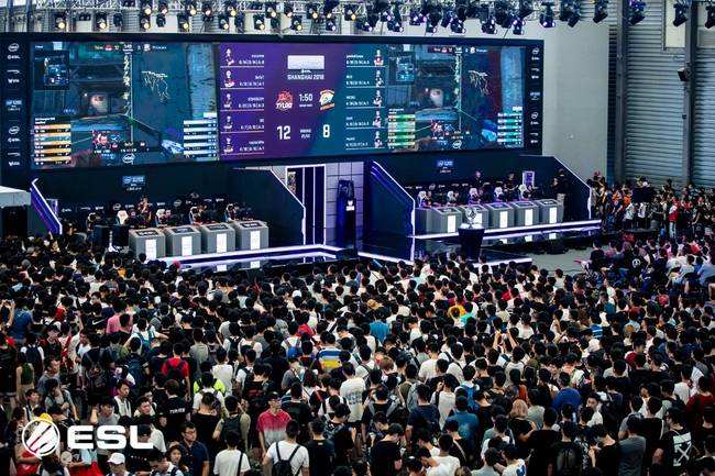 逆境中的强 逆境中的强